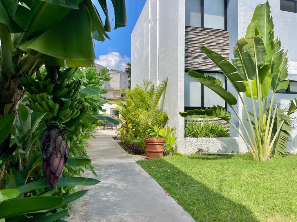 Aldeazul By Andiani Travel Apartment Cancun Ngoại thất bức ảnh